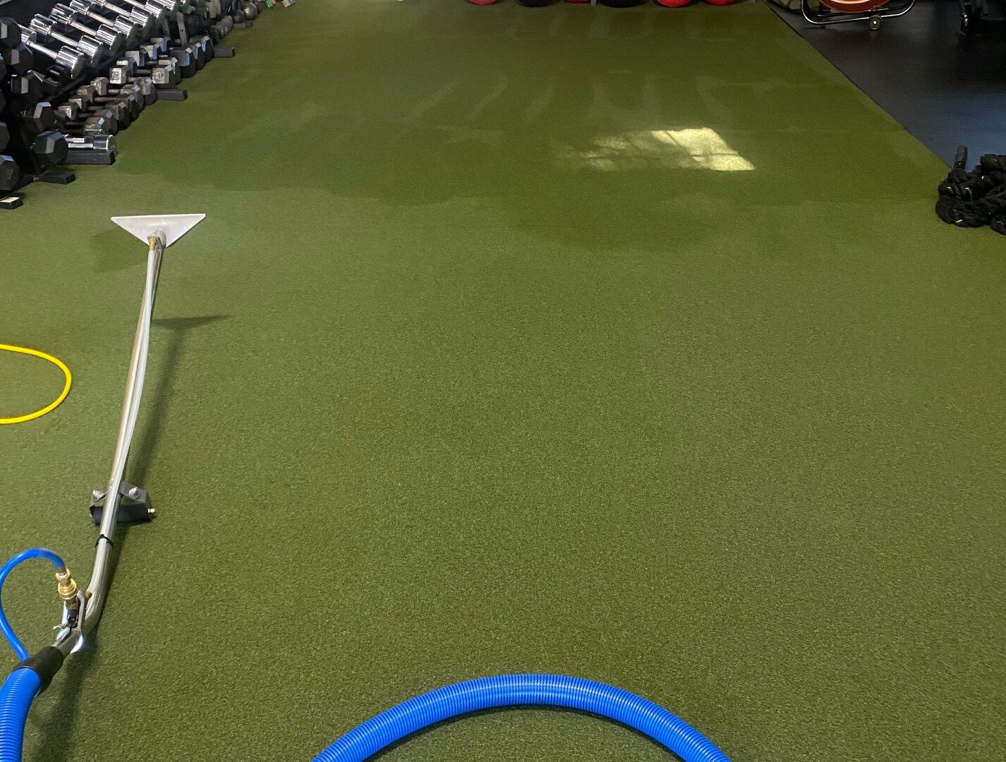 Carpet Maintenance Plans